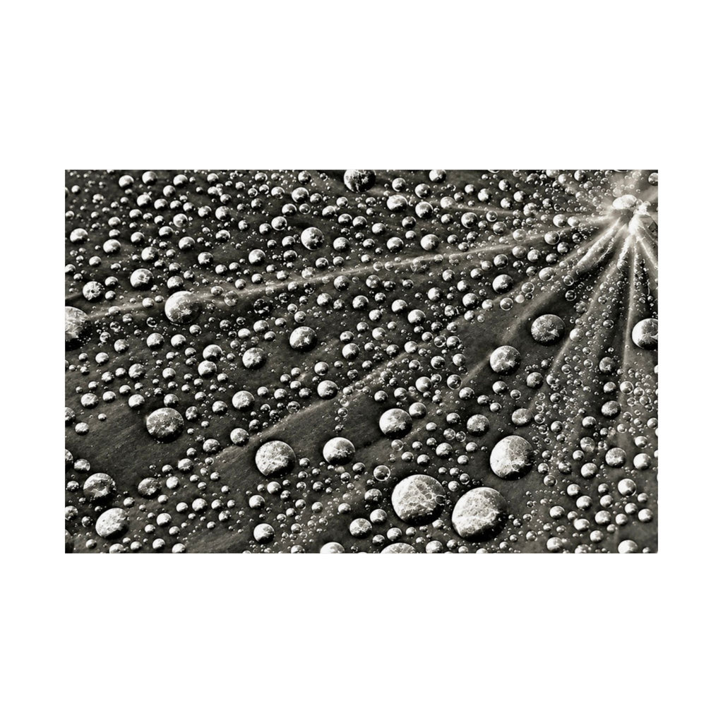 Black and White Water Droplets Abstract Nature Photography Poster