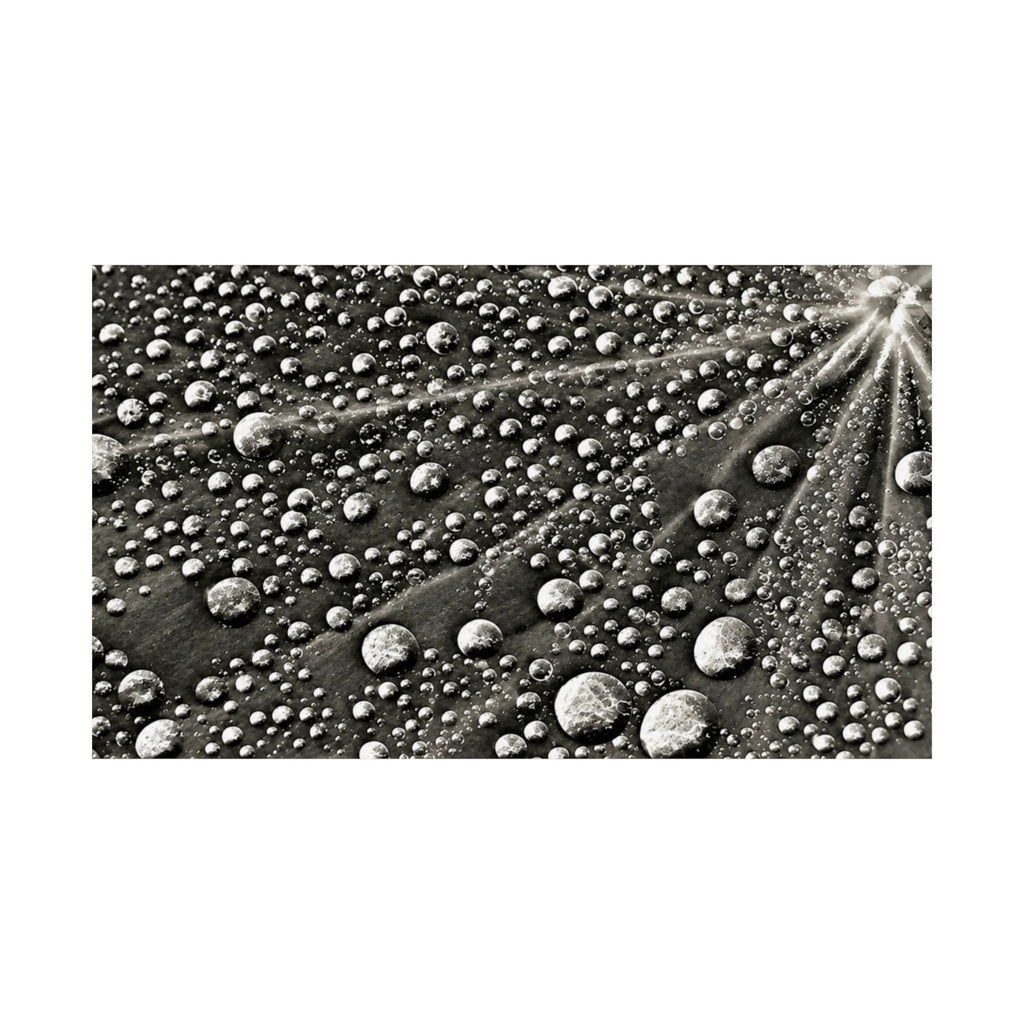 Black and White Water Droplets Abstract Nature Photography Poster