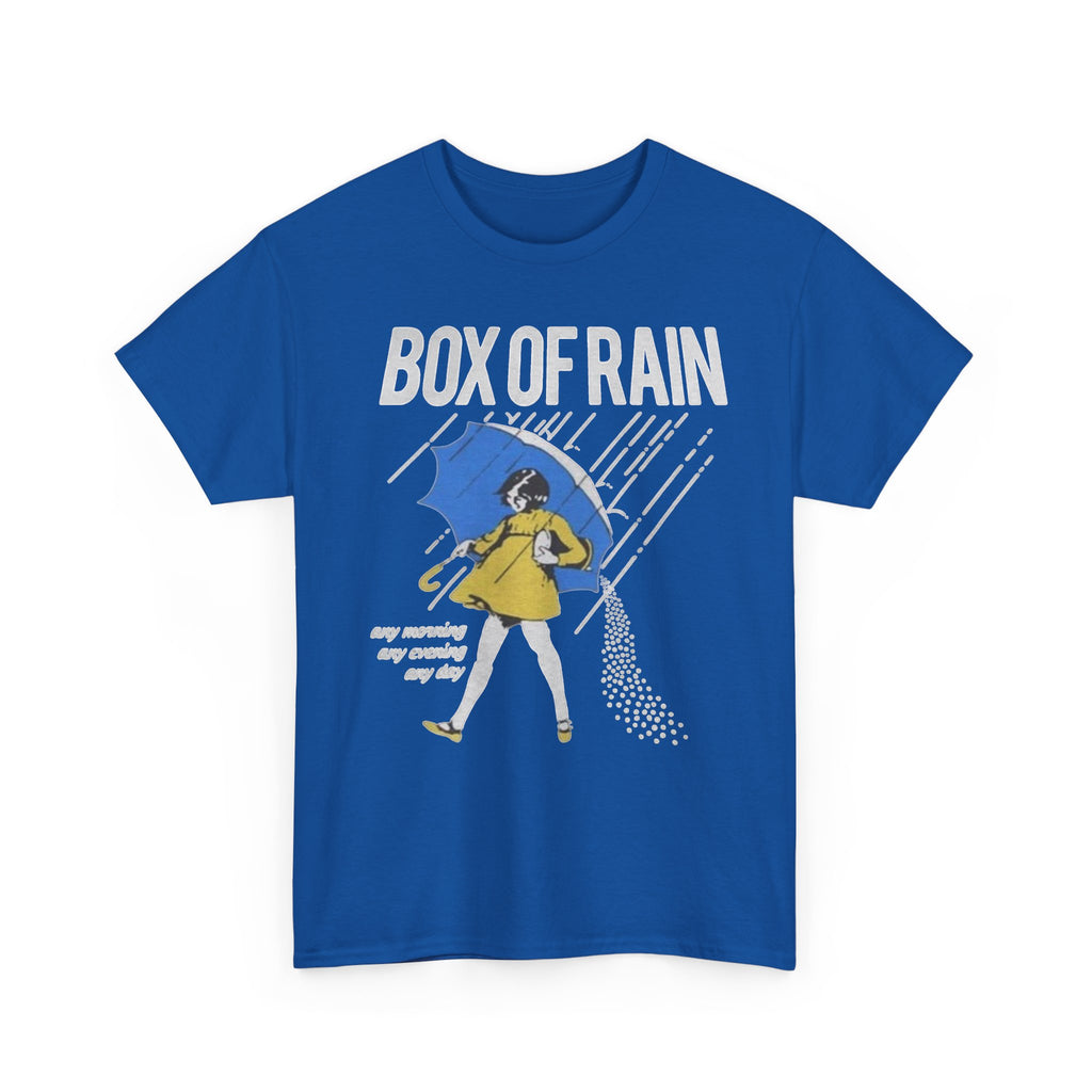 Box of Rain Grateful Dead Tee | Girl with Umbrella, Rainy Day Retro Design
