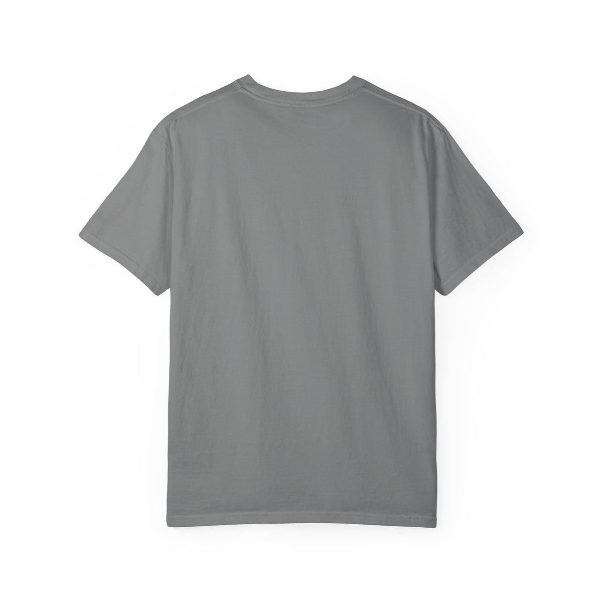 Barred Owl Vintage Bird T-Shirt