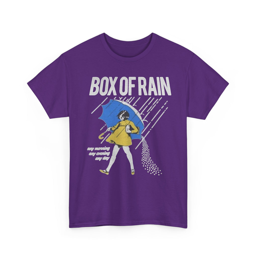 Box of Rain Grateful Dead Tee | Girl with Umbrella, Rainy Day Retro Design