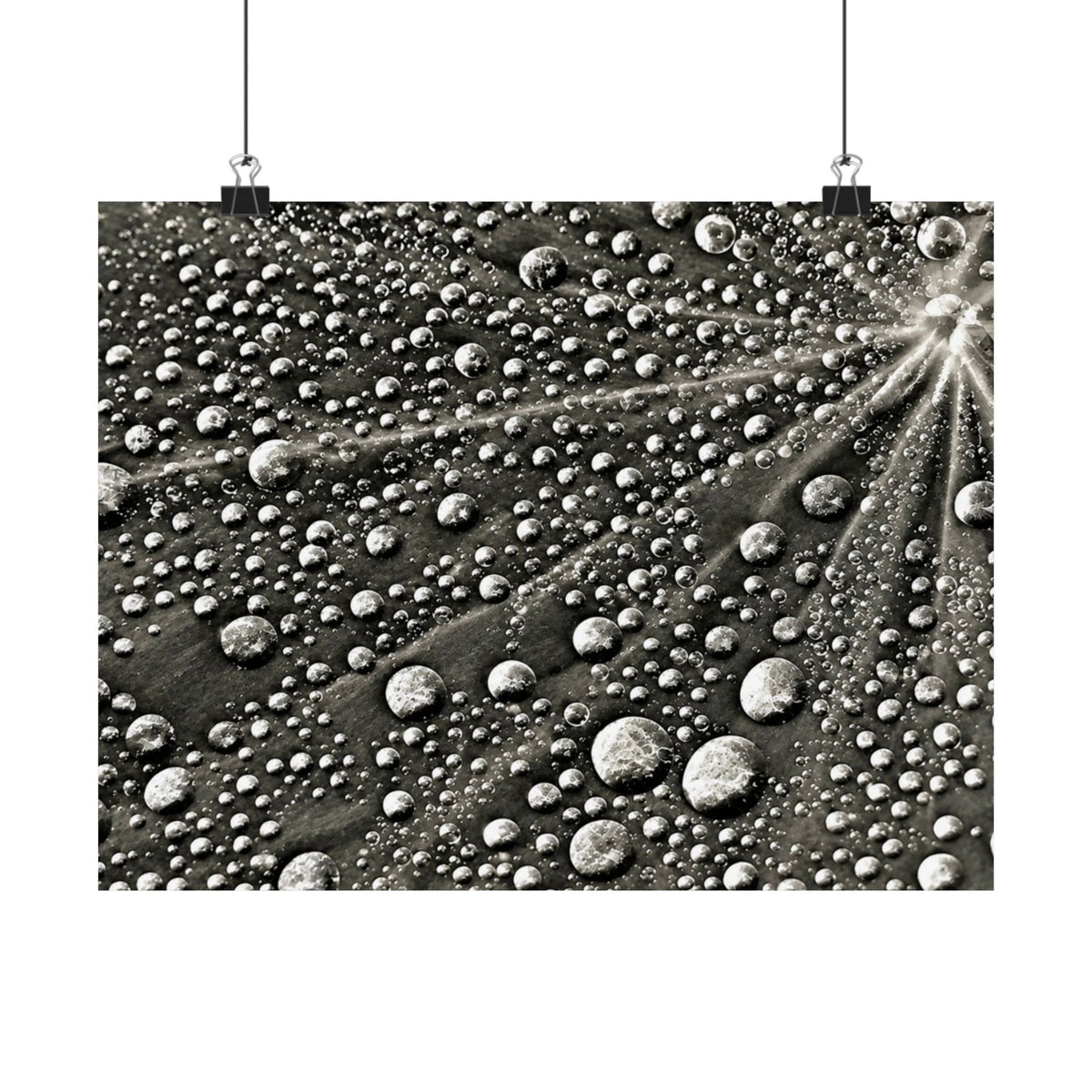 Black and White Water Droplets Abstract Nature Photography Poster