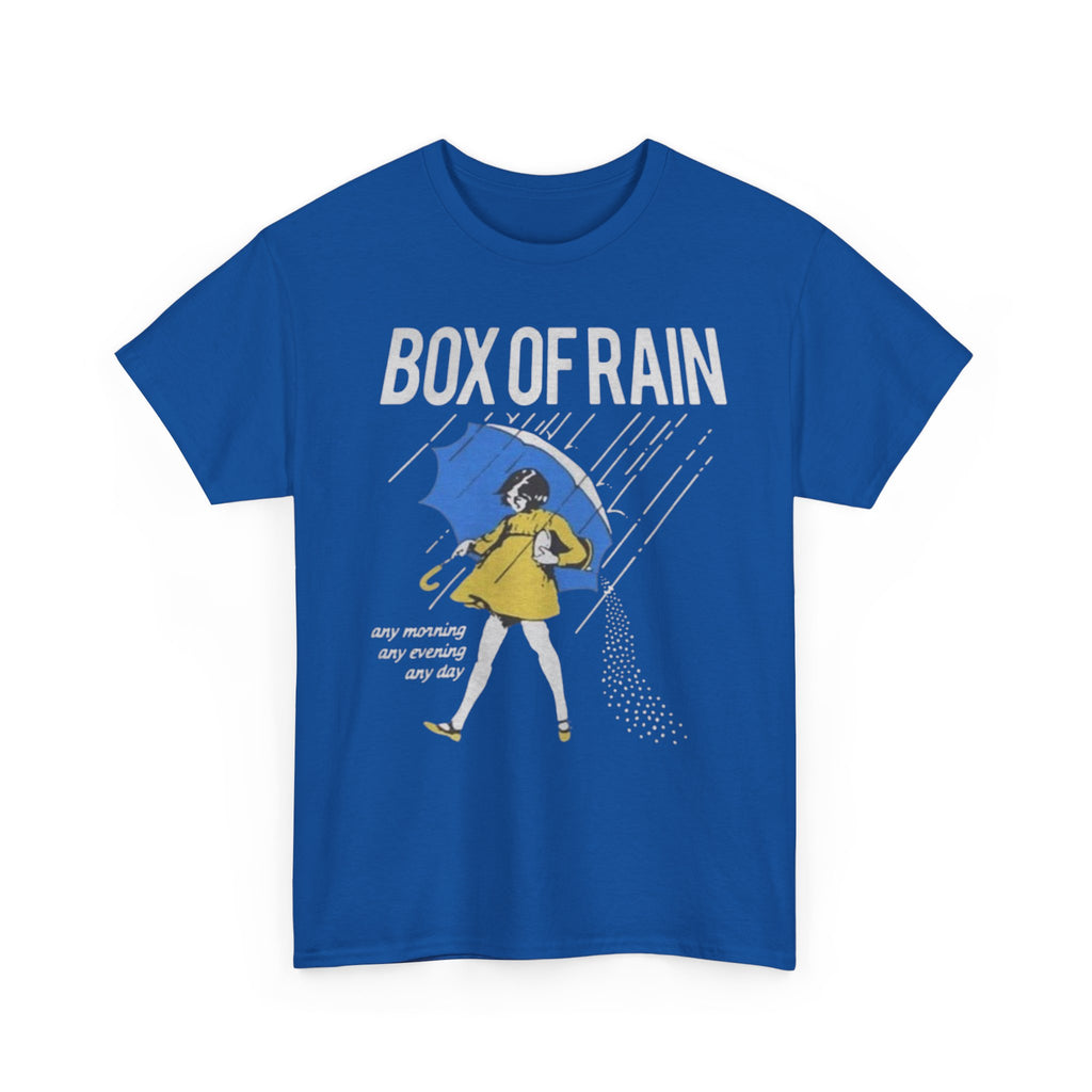 Box of Rain Grateful Dead Tee | Girl with Umbrella, Rainy Day Retro Design