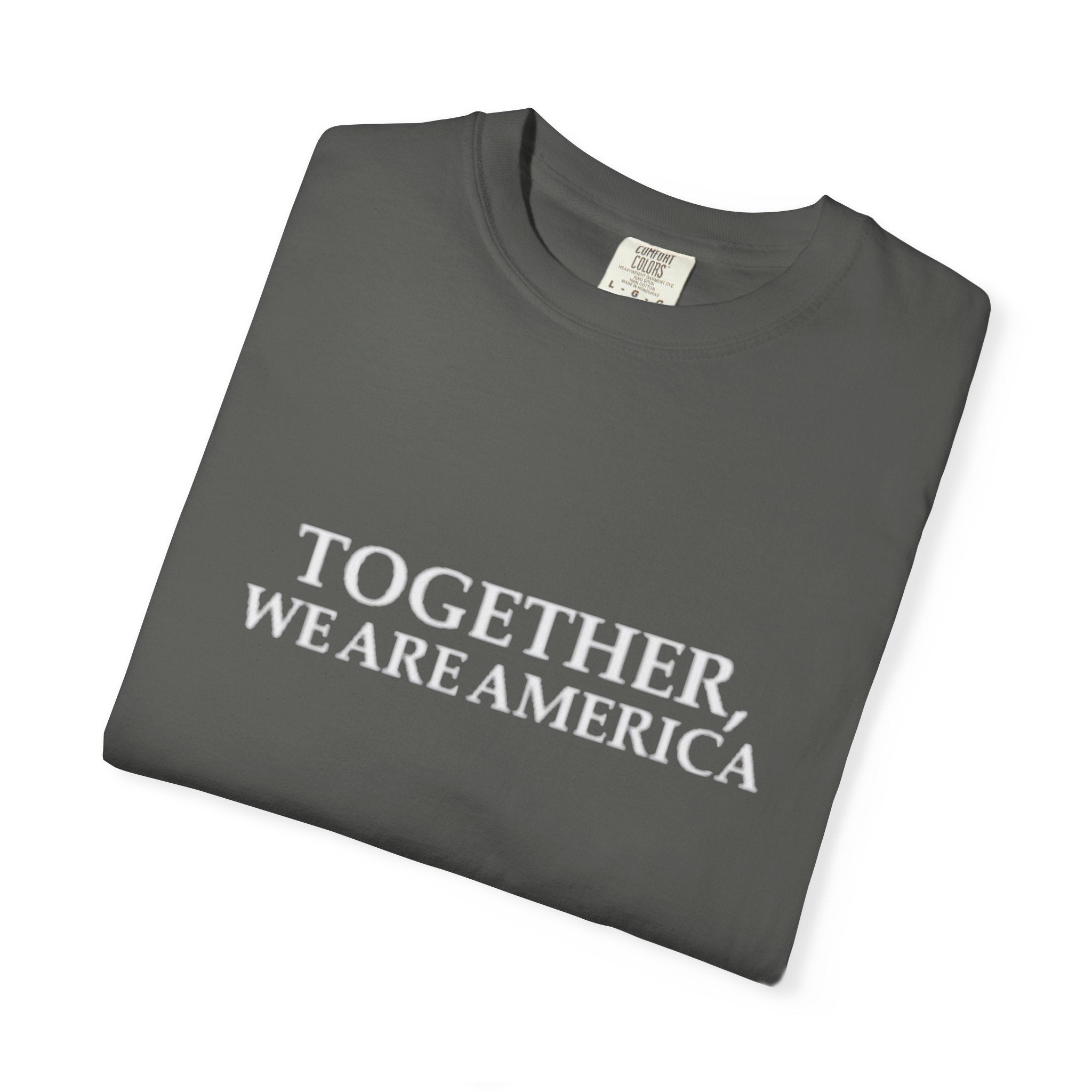 Together We Are America T-shirt | Patriotic Unity Text Tee