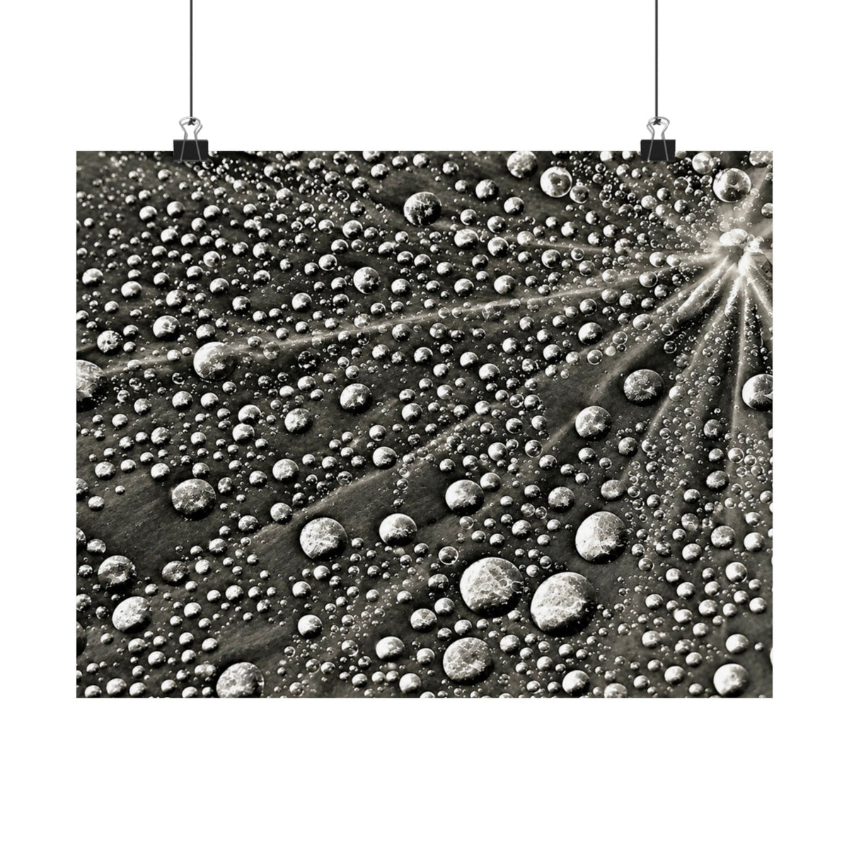 Black and White Water Droplets Abstract Nature Photography Poster