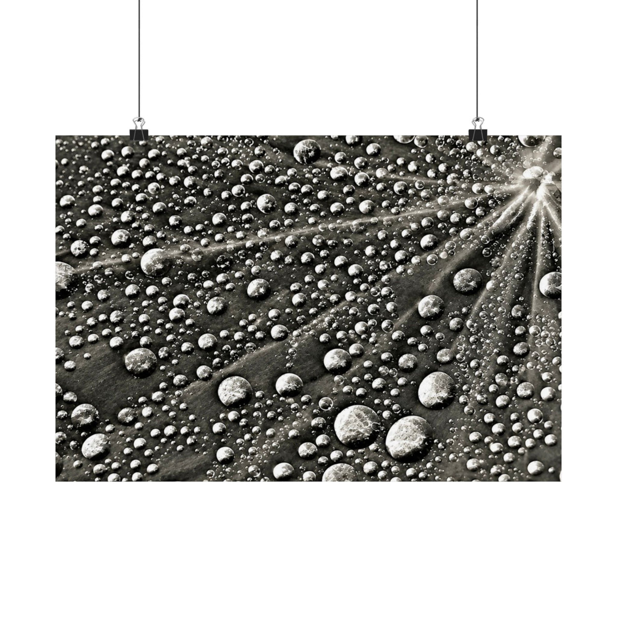 Black and White Water Droplets Abstract Nature Photography Poster