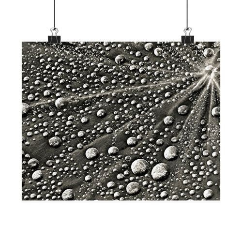 Black and White Water Droplets Abstract Nature Photography Poster