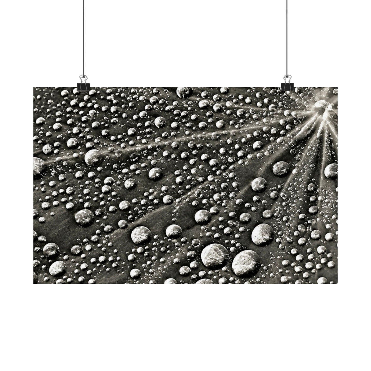 Black and White Water Droplets Abstract Nature Photography Poster