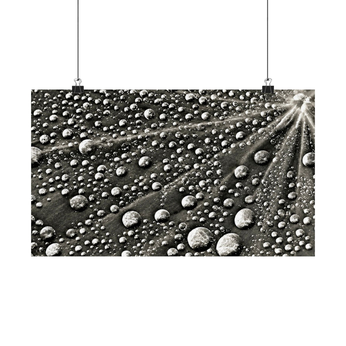Black and White Water Droplets Abstract Nature Photography Poster