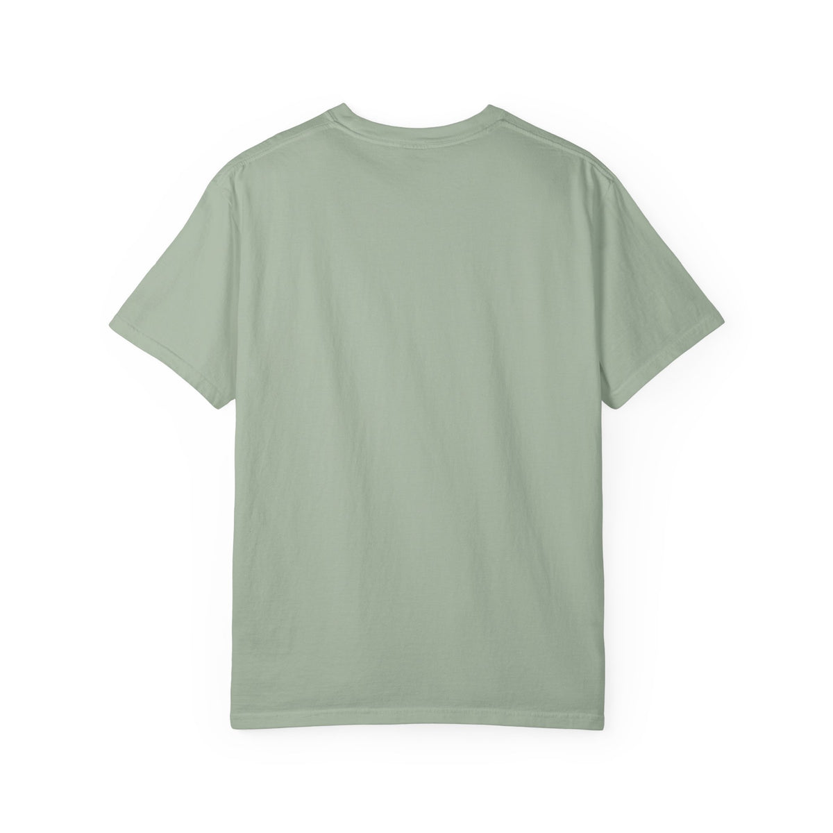Barred Owl Vintage Bird T-Shirt