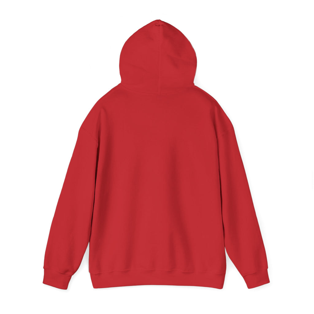 Maine Grateful Dead Bear Hoodie – Maine Outline with Dancing Bear Design