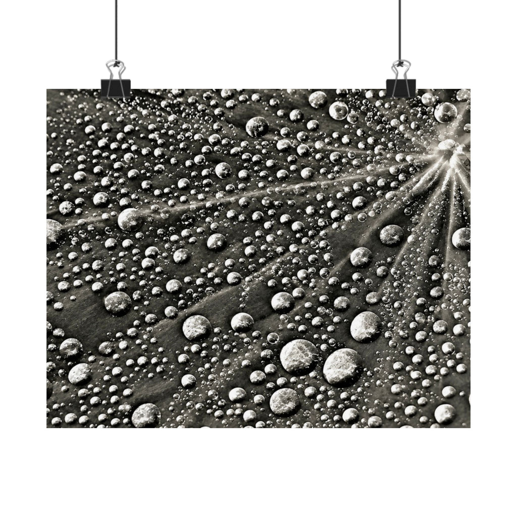 Black and White Water Droplets Abstract Nature Photography Poster