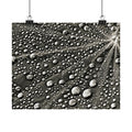 Black and White Water Droplets Abstract Nature Photography Poster
