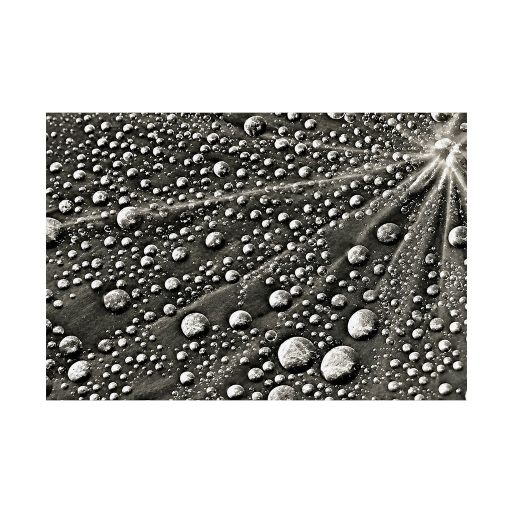 Black and White Water Droplets Abstract Nature Photography Poster